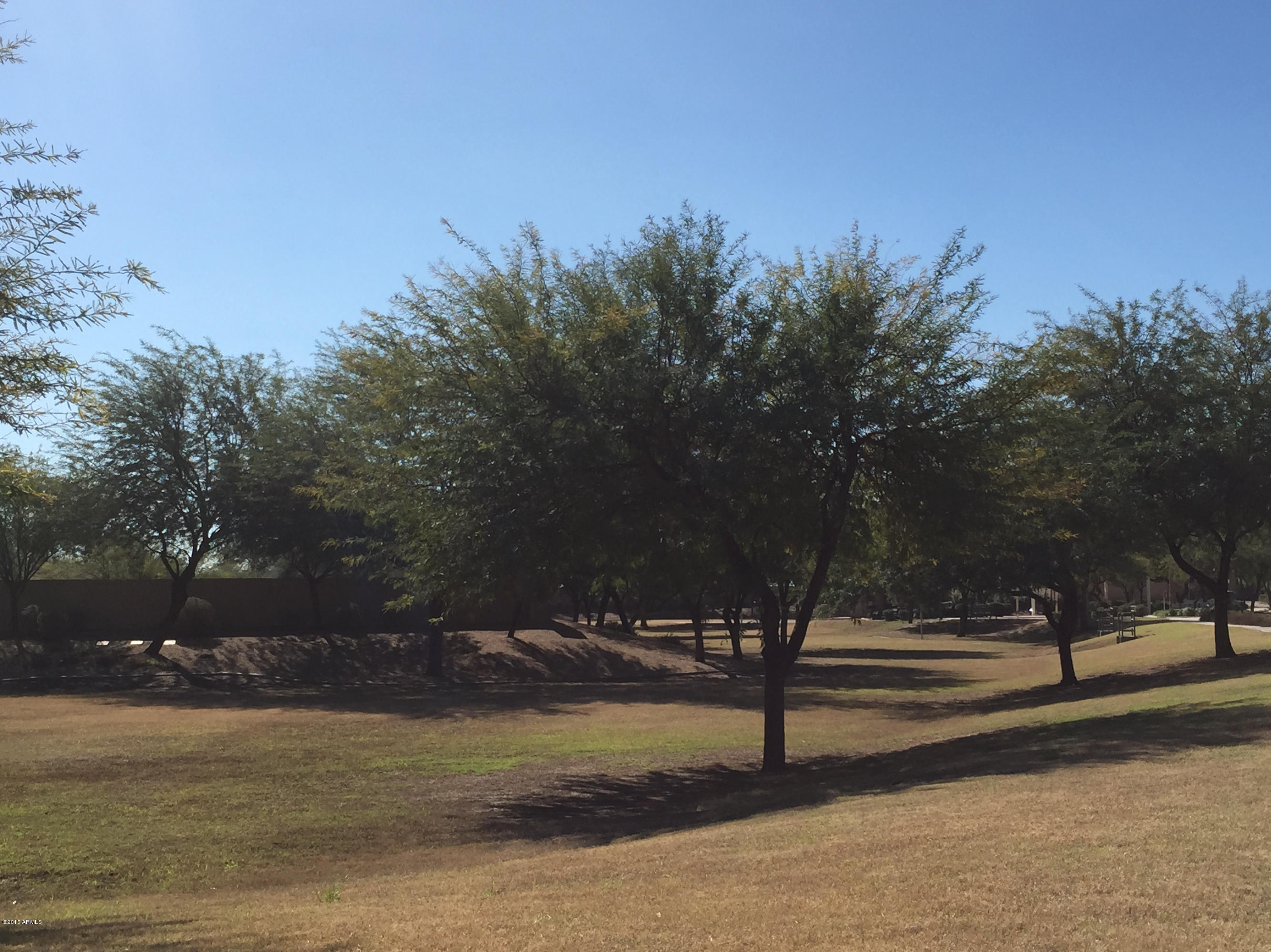 14312 West Coronado Road Goodyear, AZ 85395 - Photo 47 of 52 Park