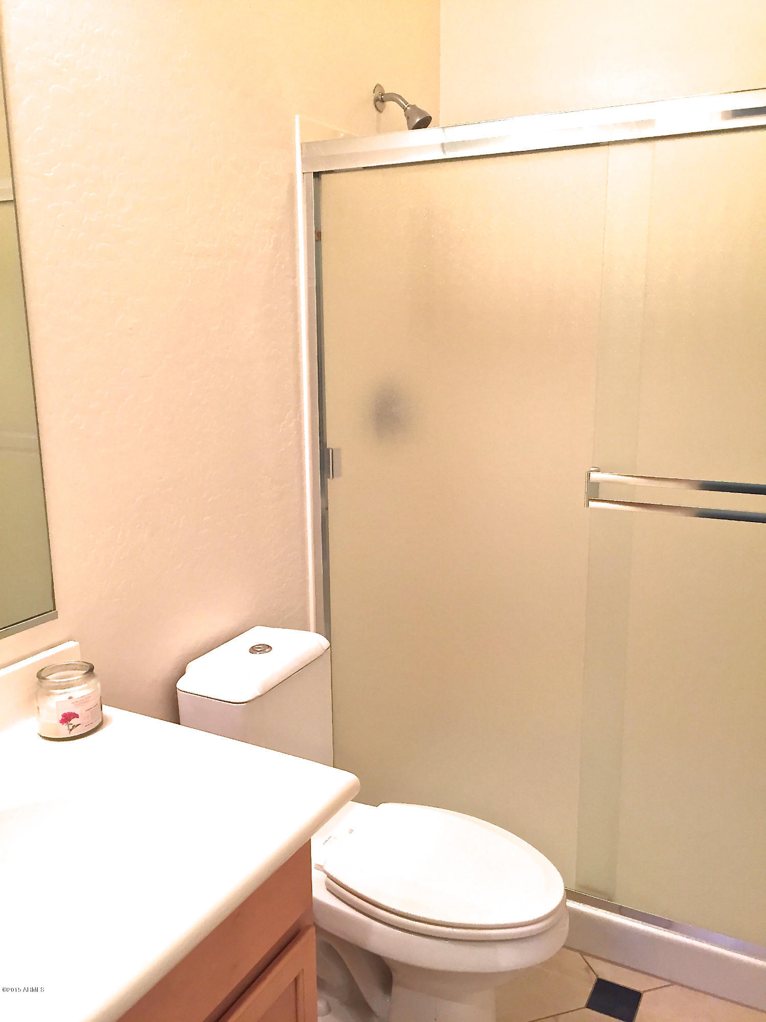 14312 West Coronado Road Goodyear, AZ 85395 - Photo 8 of 52 Downstairs bathroom