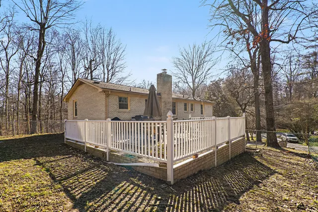 a view of a yard with wooden fence and large trees