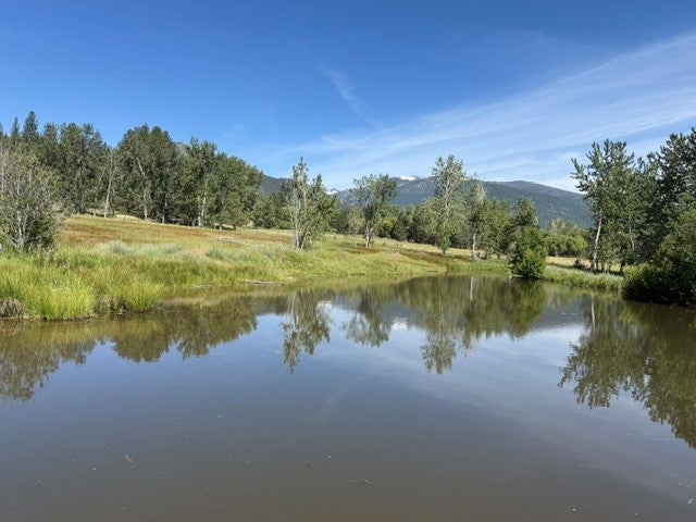 226 Sweathouse Creek Road Victor, MT 59875 - Photo 4 of 47 Gallery Image 4