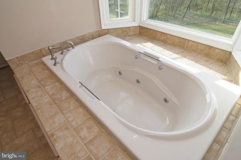 14315 Peddicord Road Mount Airy, MD 21771 - Photo 7 of 25 Bath (Master)