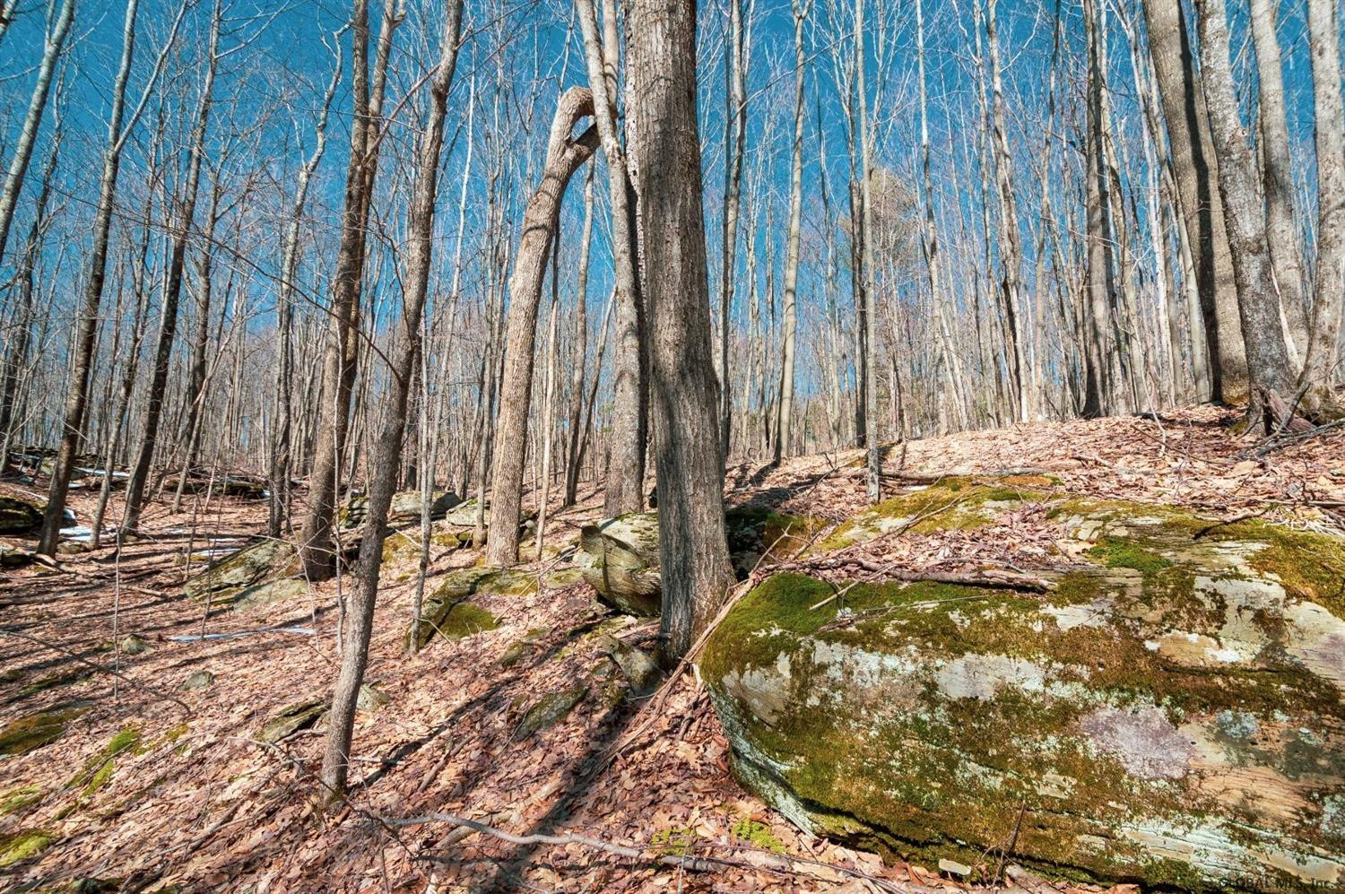 367 Churchill Road Stamford, NY 12167 - Photo 50 of 62 Photo 51