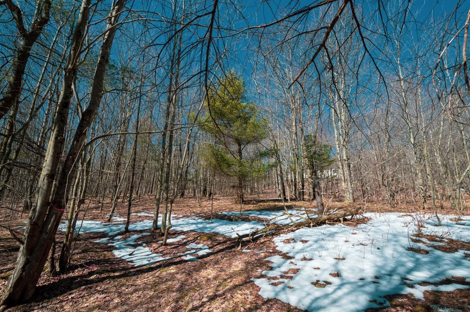 367 Churchill Road Stamford, NY 12167 - Photo 54 of 62 Photo 55