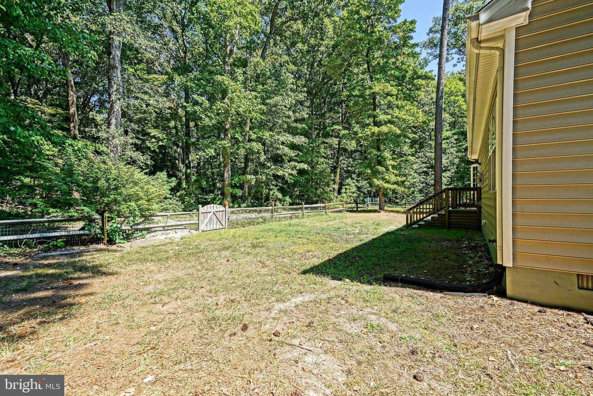 30869 Ridge Court Lewes, DE 19958 - Photo 37 of 42 a view of a backyard