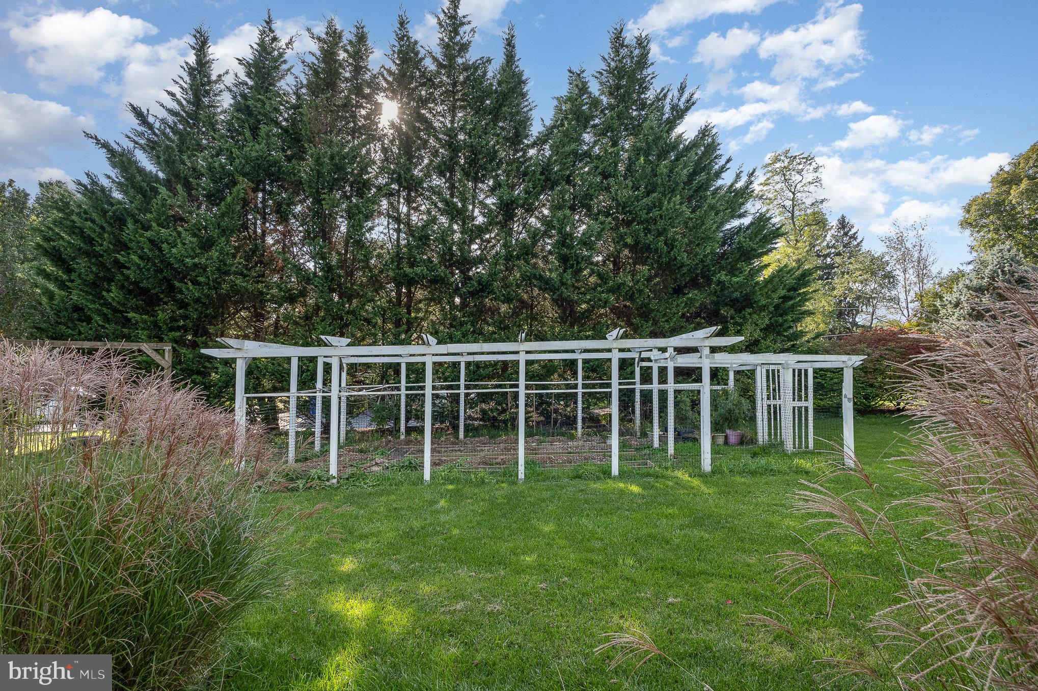 13842 Penn Shop Road Mount Airy, MD 21771 - Photo 61 of 74 Trellis