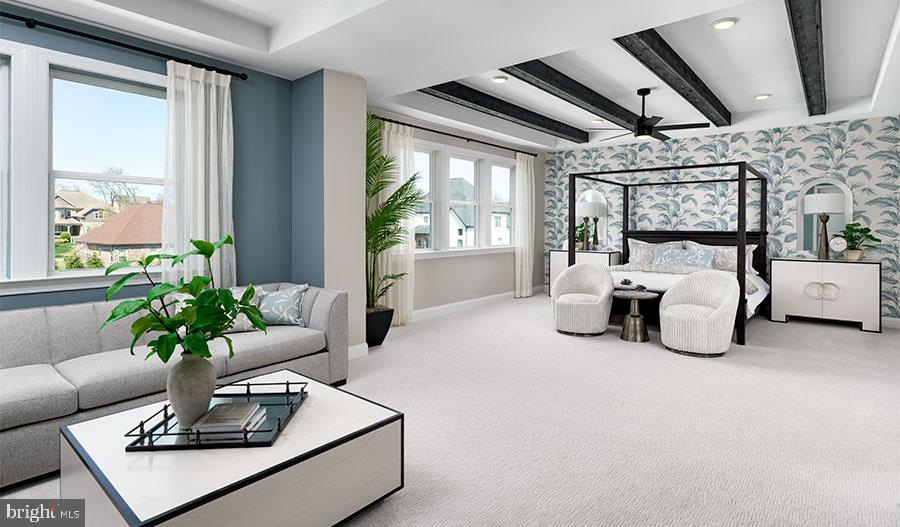 2007 St James Road Accokeek, MD 20607 - Photo 17 of 20 a living room with furniture and a potted plant