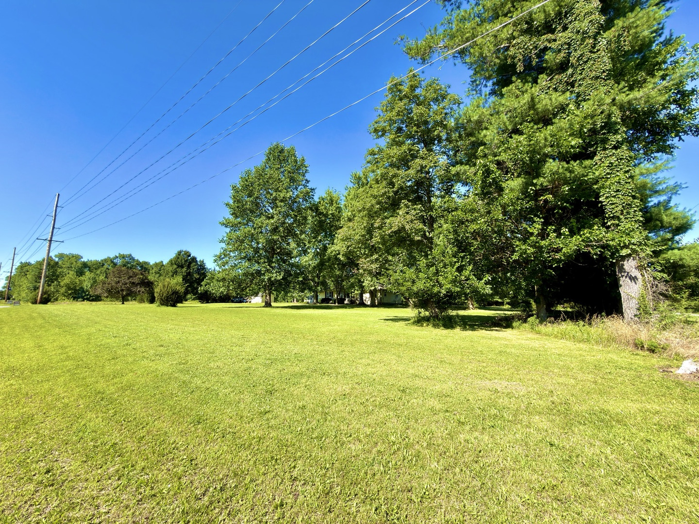 9857 Highway 45 Flora, IL 62839 - Photo 46 of 49