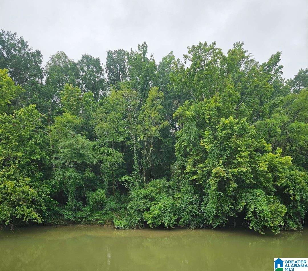 150 Harts Ferry Road, Unit 150 Ohatchee, AL 36271 - Photo 3 of 15