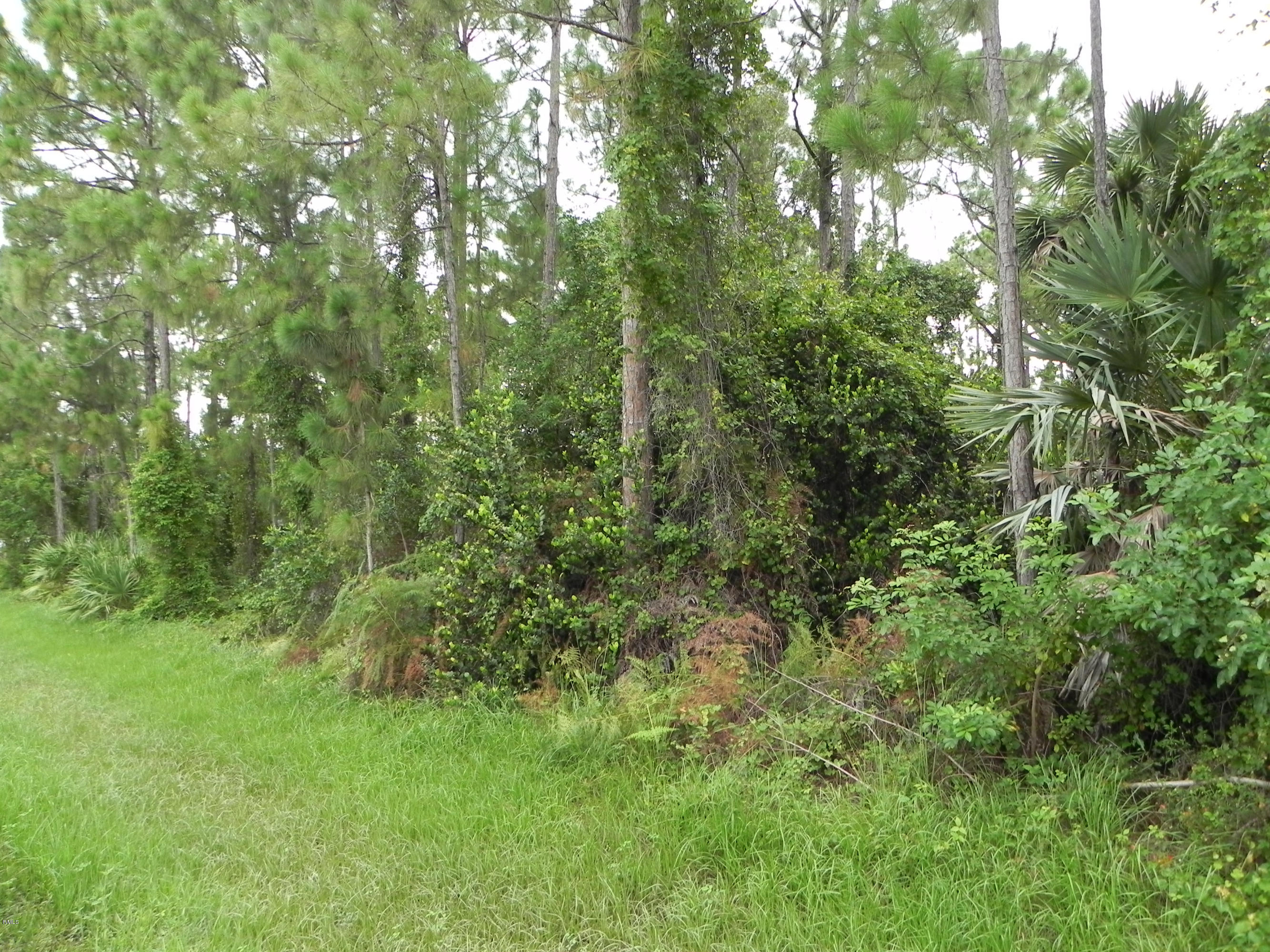87 86th Road North Loxahatchee, FL 33470 - Photo 1 of 10 DSCN7189