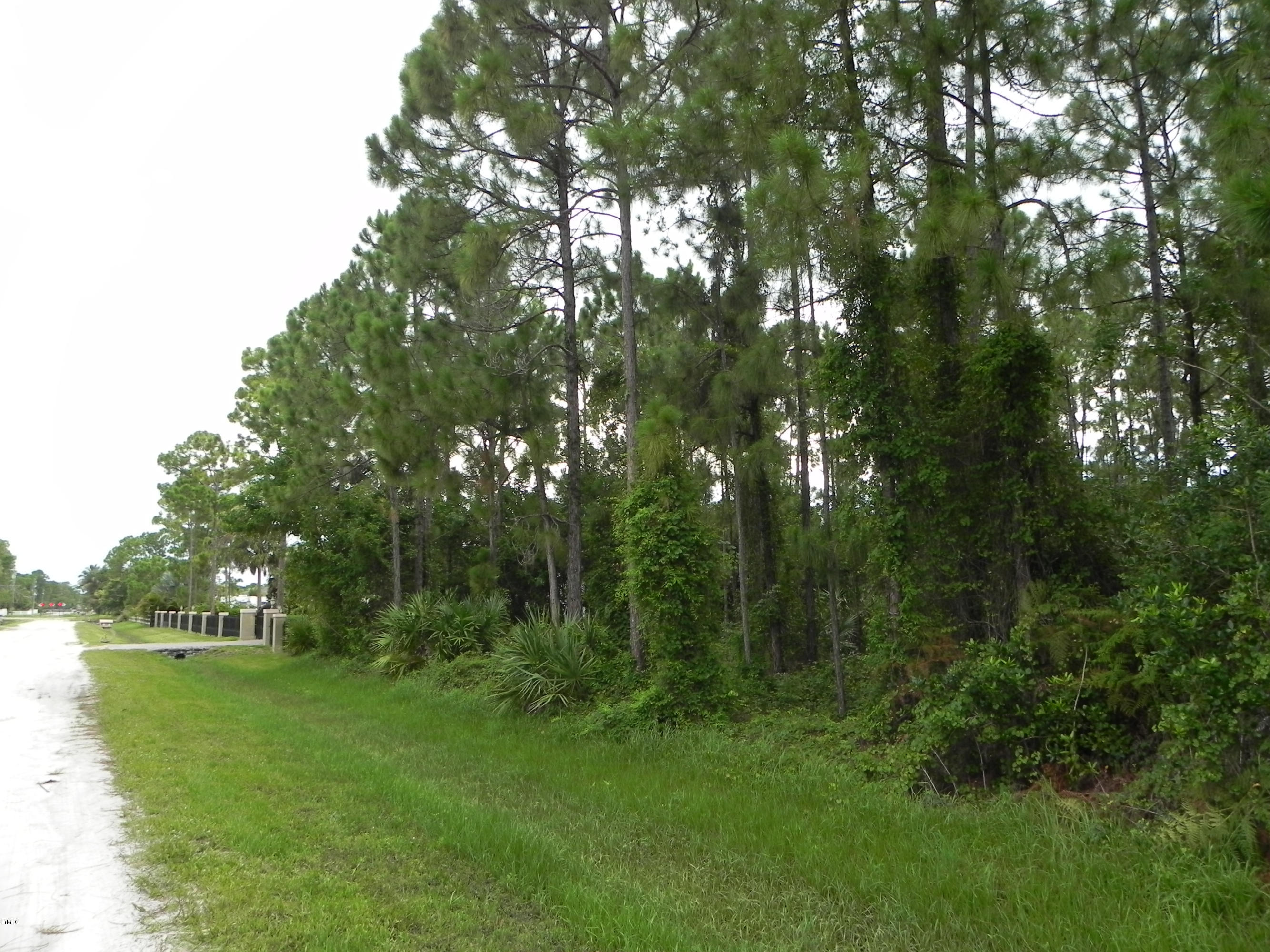 87 86th Road North Loxahatchee, FL 33470 - Photo 2 of 10 DSCN7190