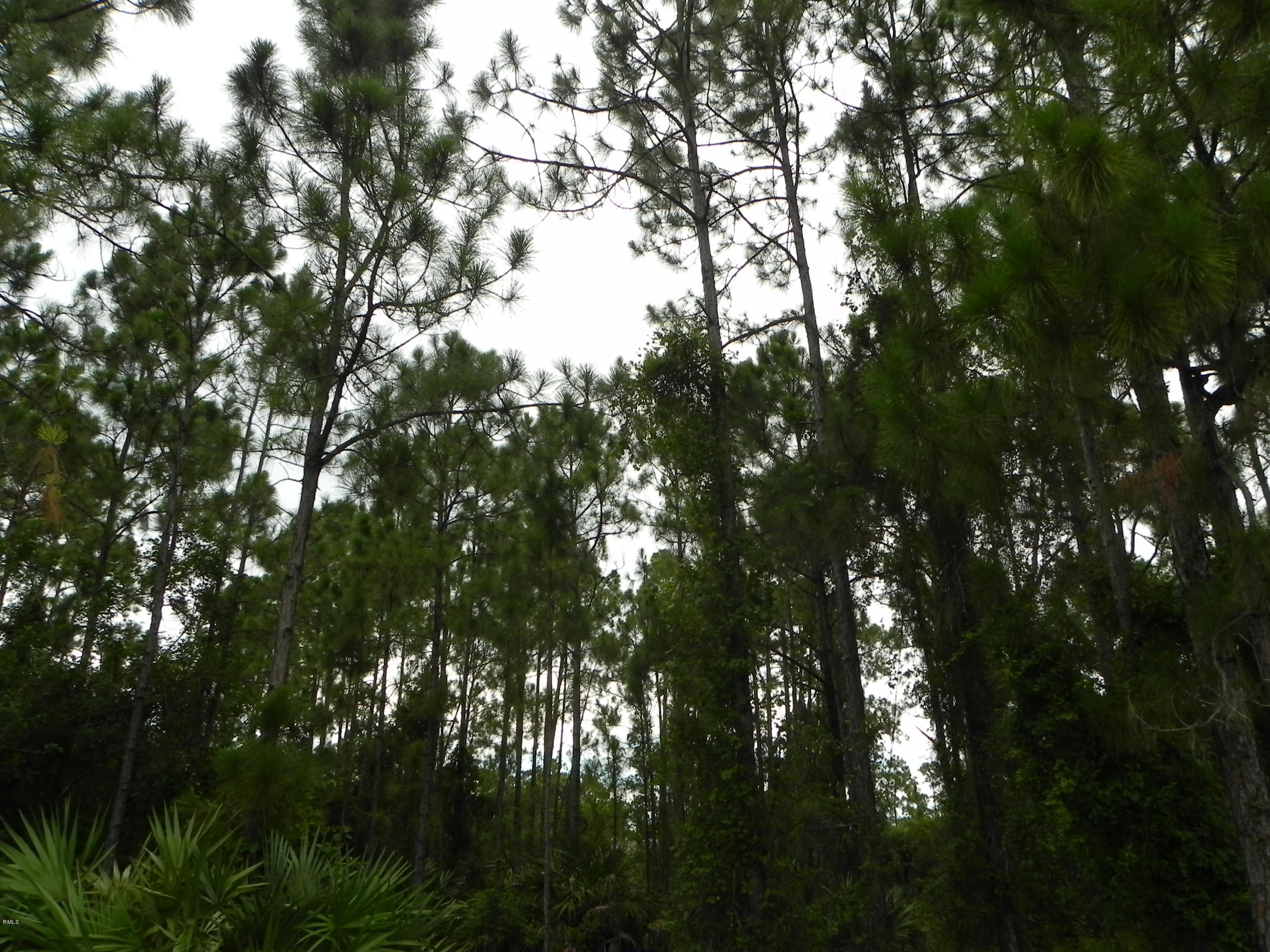87 86th Road North Loxahatchee, FL 33470 - Photo 3 of 10 DSCN7191