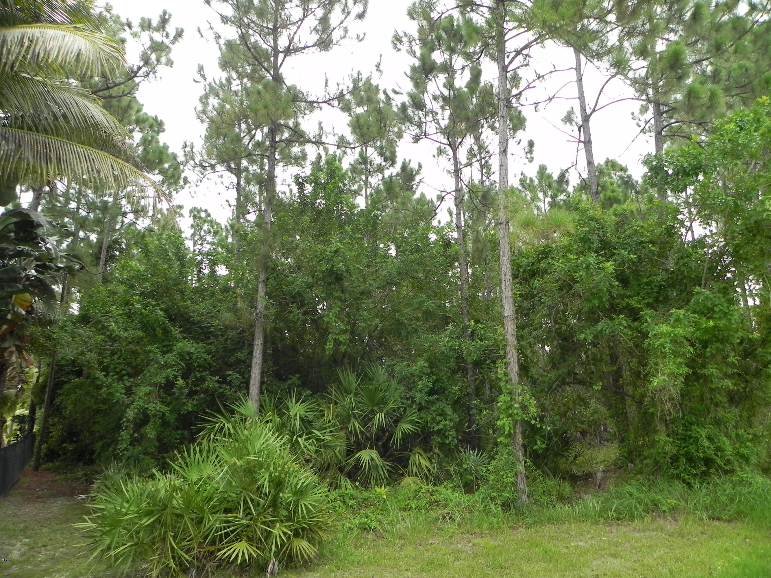 87 86th Road North Loxahatchee, FL 33470 - Photo 4 of 10 DSCN7192