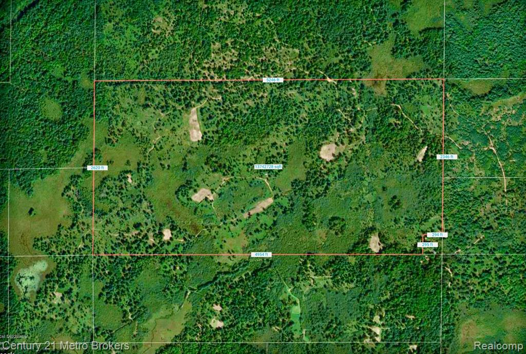 0 East Sugar River Road Alger, MI 48610 - Photo 3 of 50