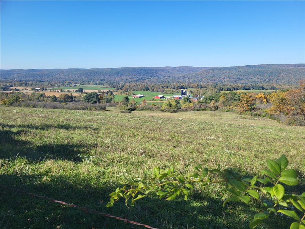 1187 Ridge Road Veteran, NY 14845 - Photo 13 of 13