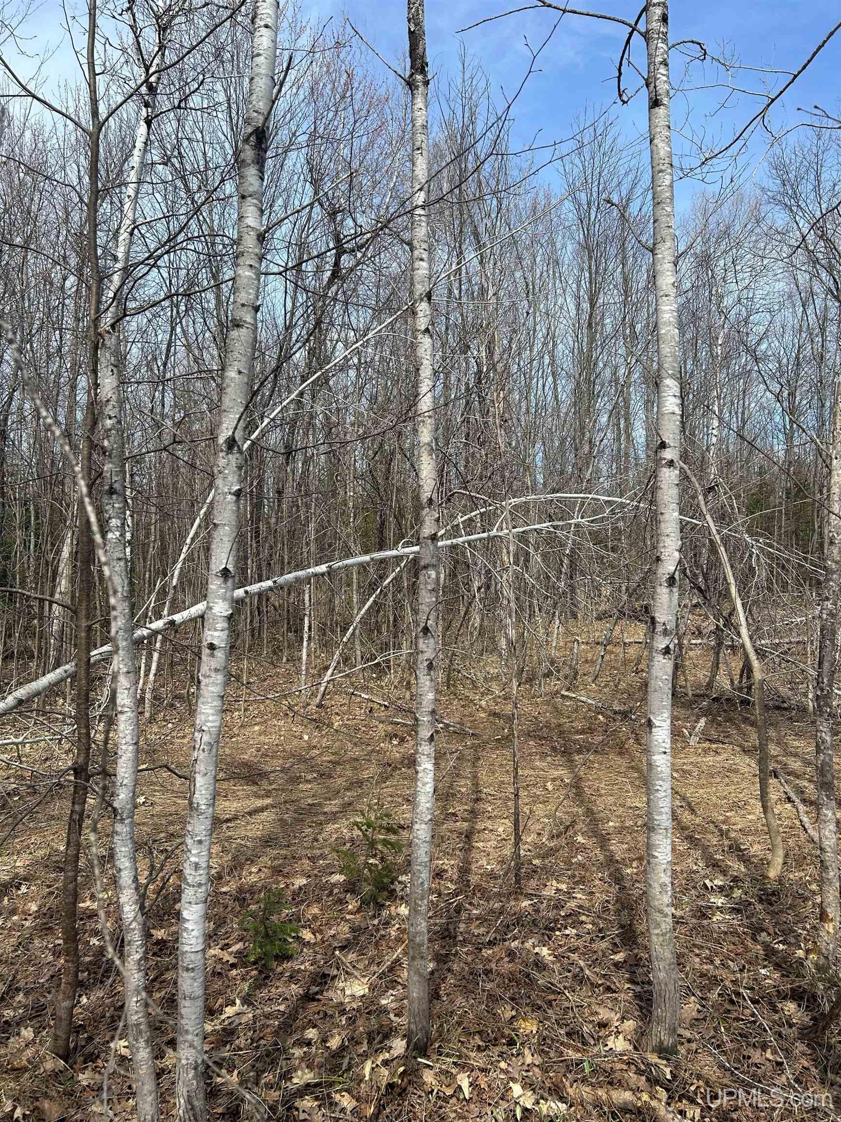4-10 Firesteel Road Ontonagon, MI 49953 - Photo 16 of 28