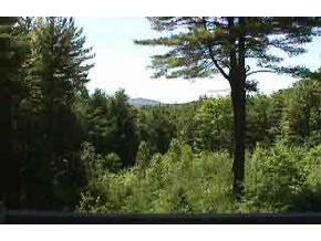420 Blueberry Hill Road Deering, NH 03244 - Photo 3 of 3