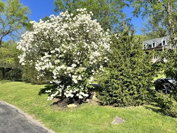 $3,200 | 204 Hogan Lane, Columbia, TN 38401