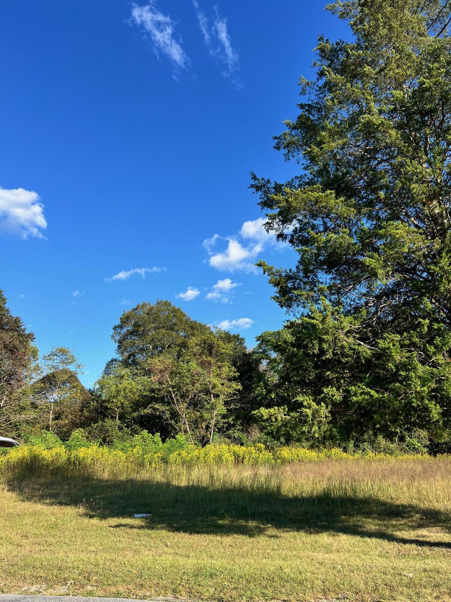 a view of lake with houses