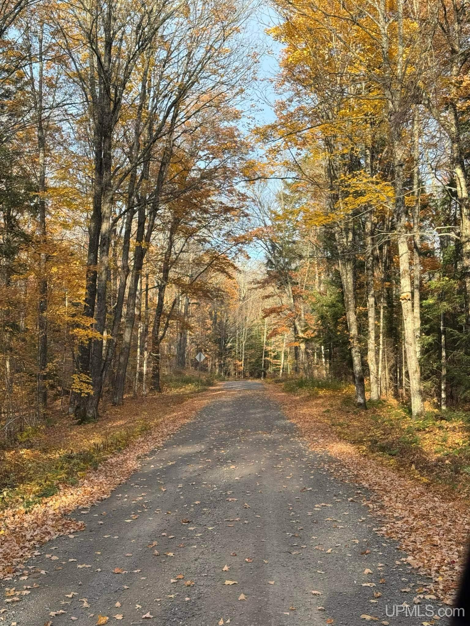 3500 Rd Iron River Iron River, MI 49935 - Photo 15 of 39