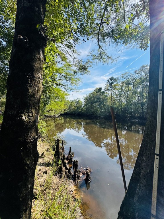 1427 Magnolia Road Fort Valley, GA 31030 - Photo 5 of 19