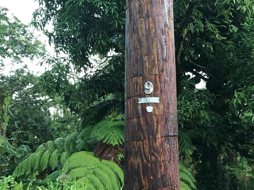 612 Molokai Road Pahoa, HI 96778 - Photo 1 of 2 Gallery Image 1