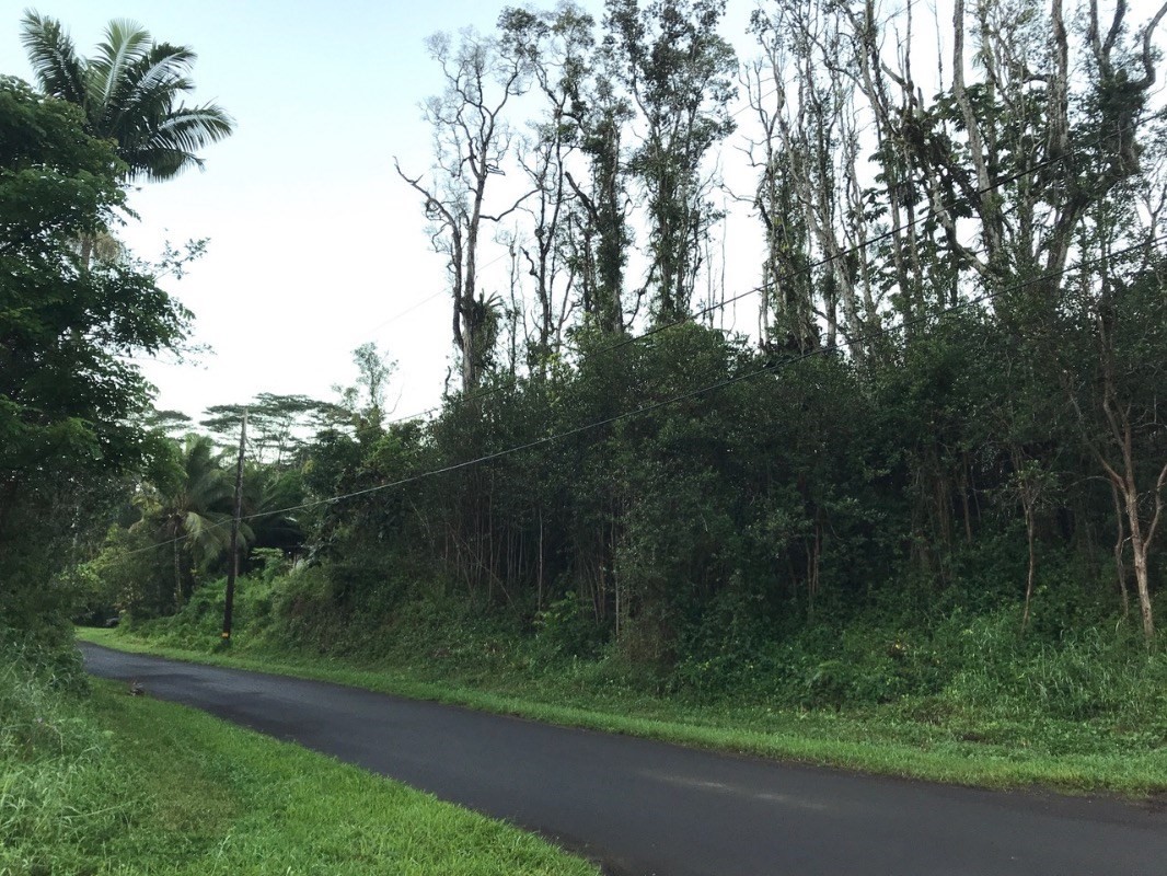 612 Molokai Road Pahoa, HI 96778 - Photo 2 of 2 Gallery Image 2