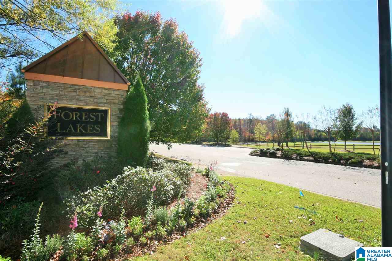 2109 Forest Lakes Lane Sterrett, AL 35147 - Photo 4 of 28