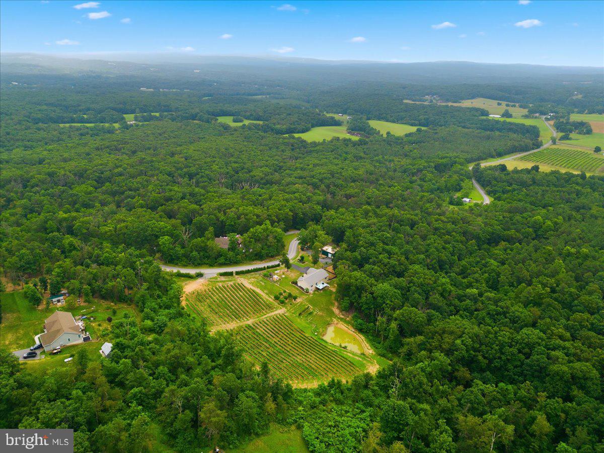 1309 Redland Road Cross Junction, VA 22625 - Photo 68 of 119