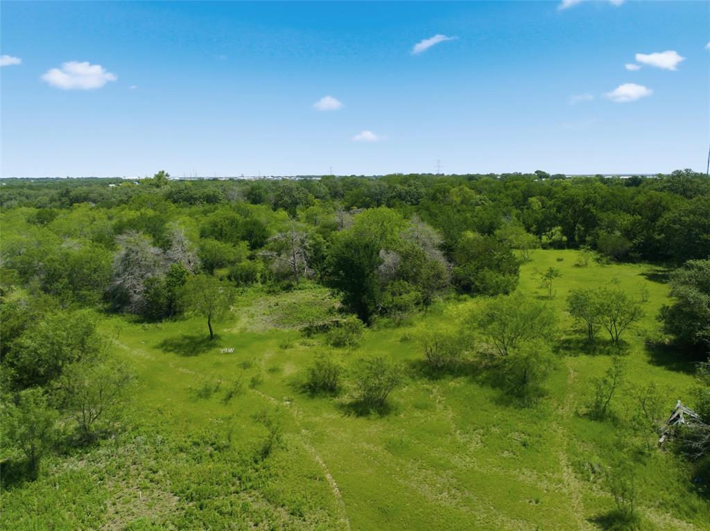 663 North Katy Road Elm Mott, TX 76640 - Photo 9 of 25 Gorgeous greenery and mature trees