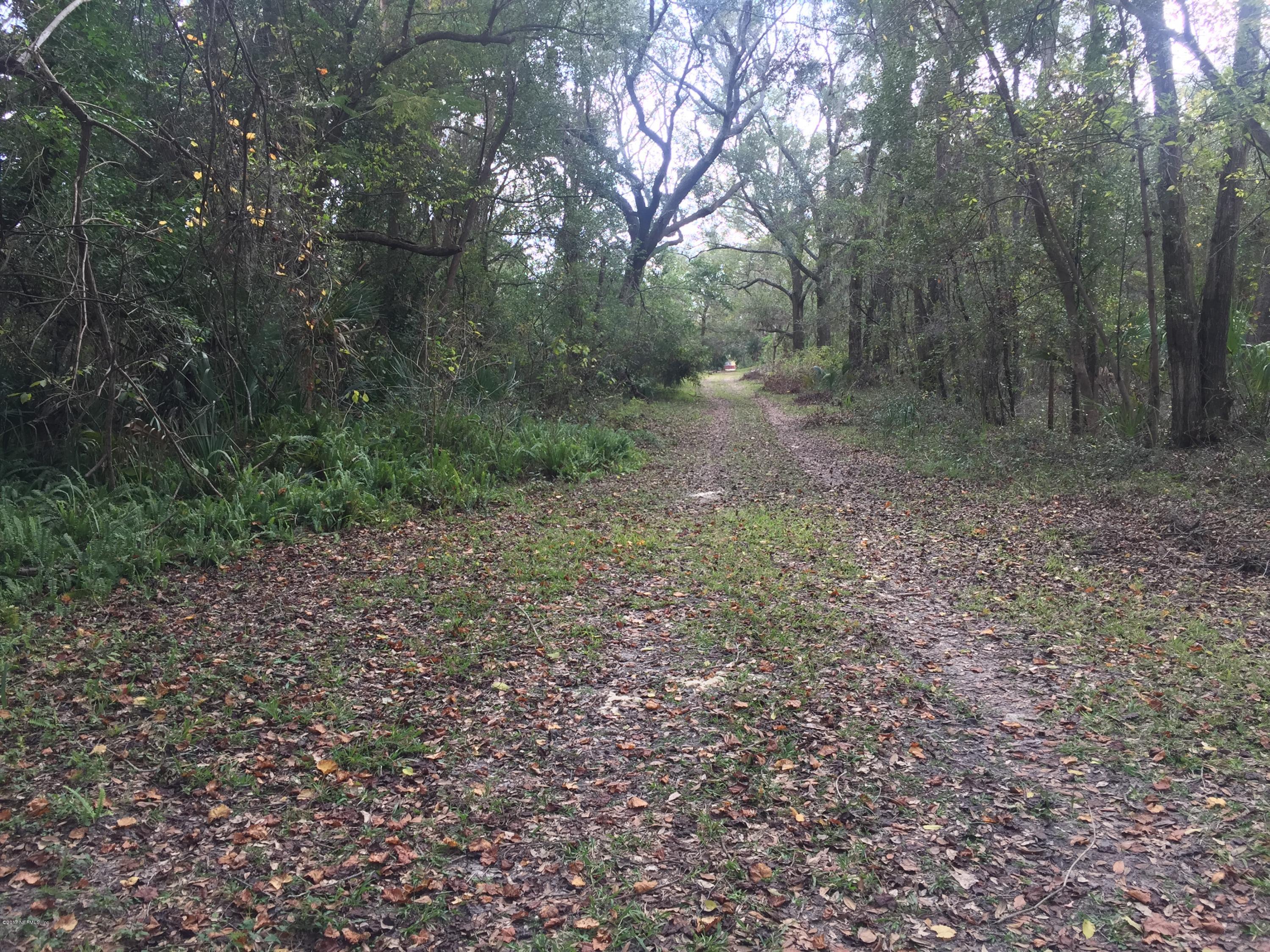 4527 Fennell Road Jacksonville, FL 32244 - Photo 31 of 38 a view of a forest with trees in the background