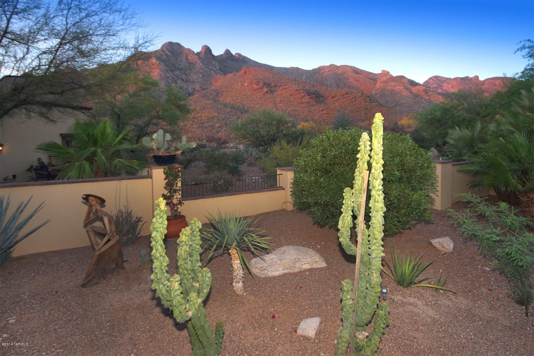 901 East Magee Road Tucson, AZ 85718 - Photo 46 of 49 Gallery Image 46