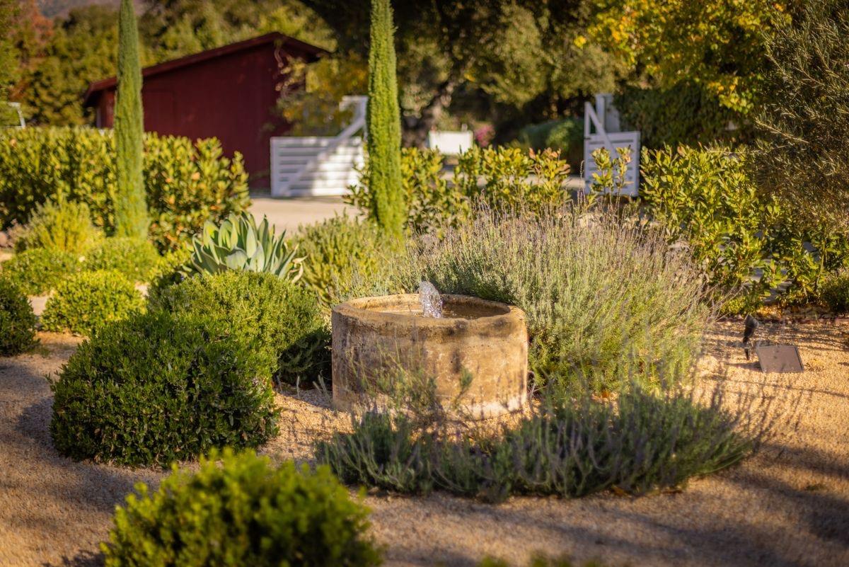 930 Fairview Road Ojai, CA 93023 - Photo 3 of 30 a view of a yard with plants