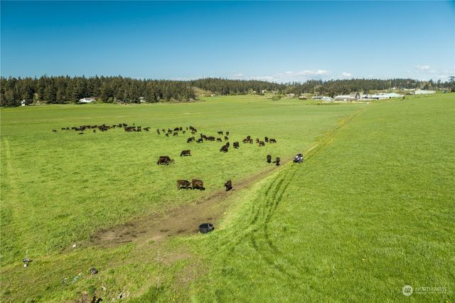 a view of a lake with a mountain