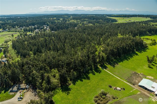 a view of a field with an ocean