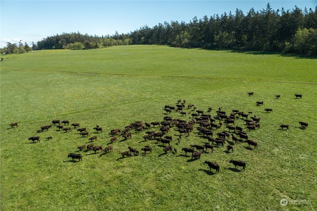 a view of a field with an ocean view