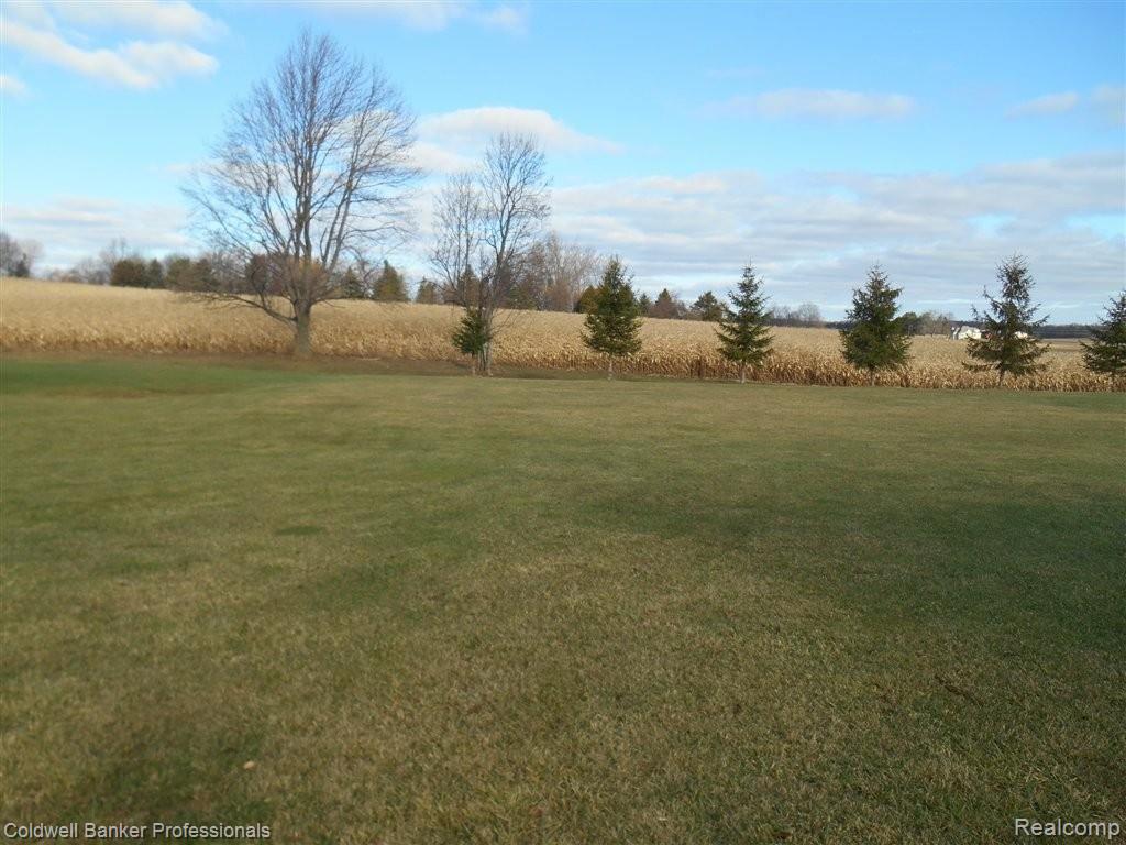 3632 West Oregon Road Lapeer, MI 48446 - Photo 24 of 25 Backyard