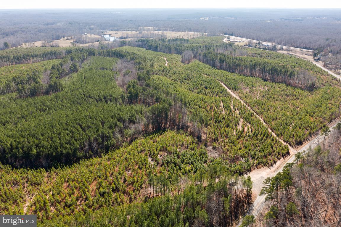 Lot 1 Yellow Bottom Road Lignum, VA 22726 - Photo 2 of 8 Gallery Image 2