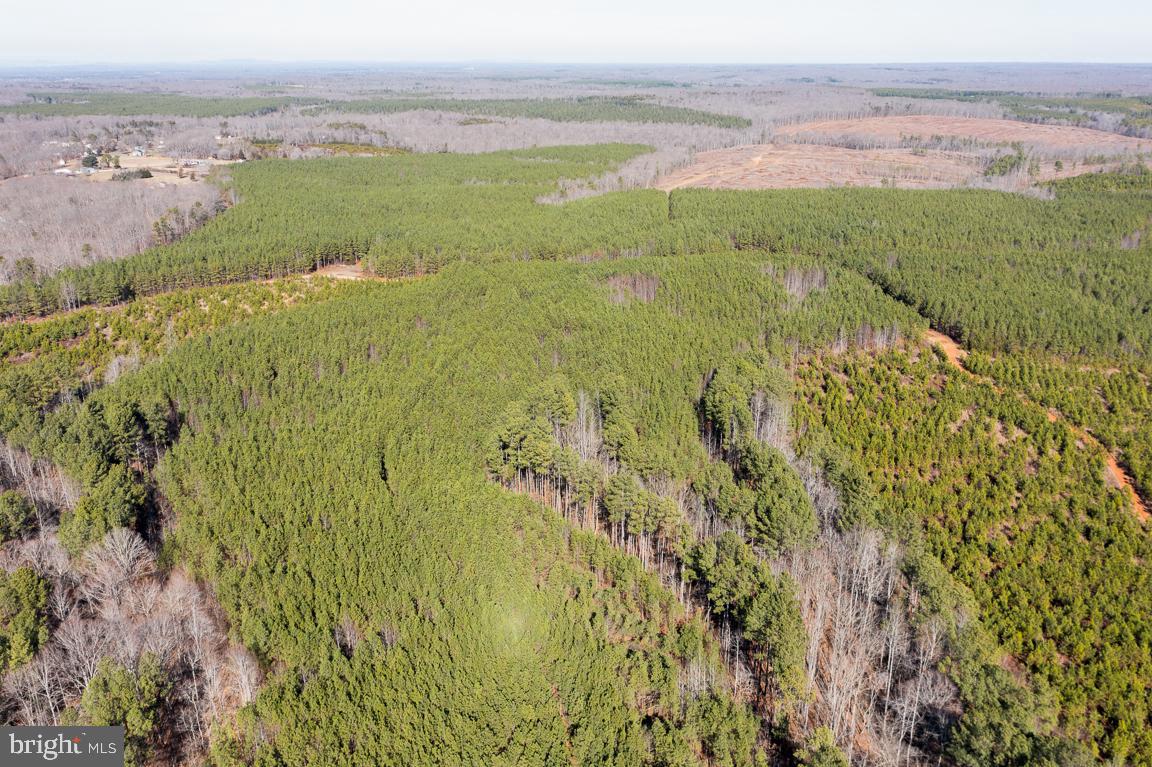 Lot 1 Yellow Bottom Road Lignum, VA 22726 - Photo 4 of 8 Gallery Image 4
