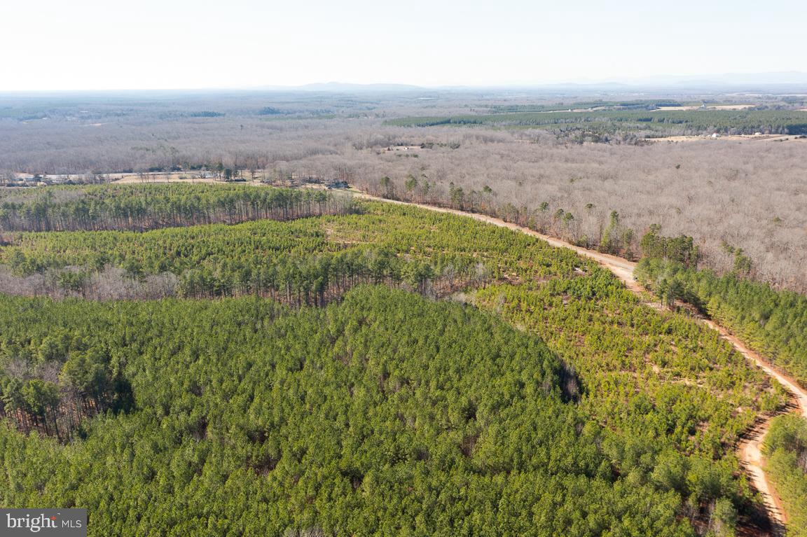 Lot 1 Yellow Bottom Road Lignum, VA 22726 - Photo 5 of 8 Gallery Image 5
