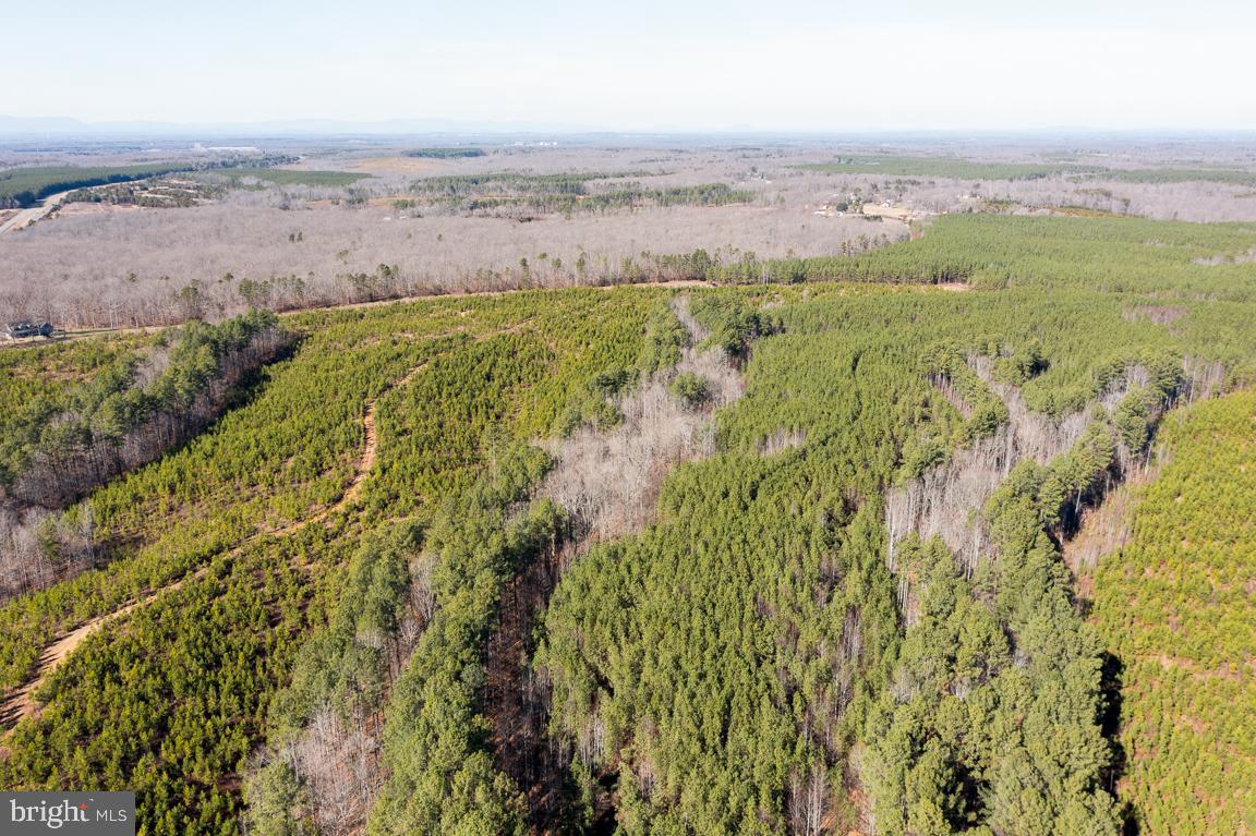 Lot 1 Yellow Bottom Road Lignum, VA 22726 - Photo 6 of 8 Gallery Image 6
