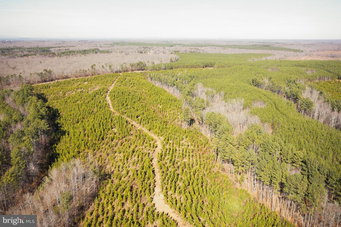 Lot 1 Yellow Bottom Road Lignum, VA 22726 - Photo 7 of 8 Gallery Image 7
