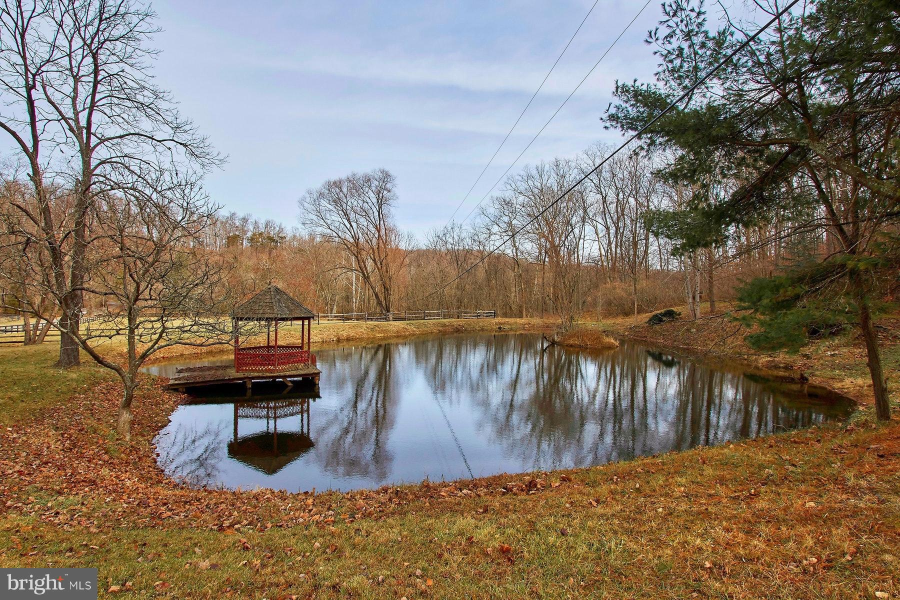 39385 Lime Kiln Road Leesburg, VA 20175 - Photo 24 of 30 Pond