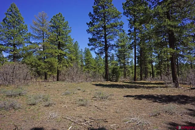 a view of dirt yard with a fountain