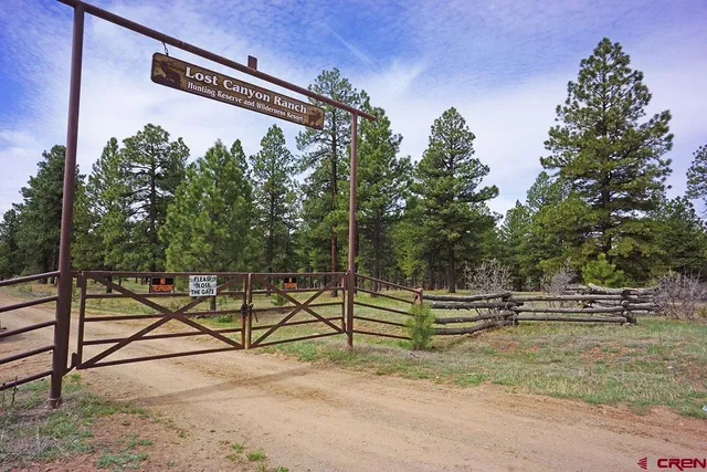 a view of a basketball court