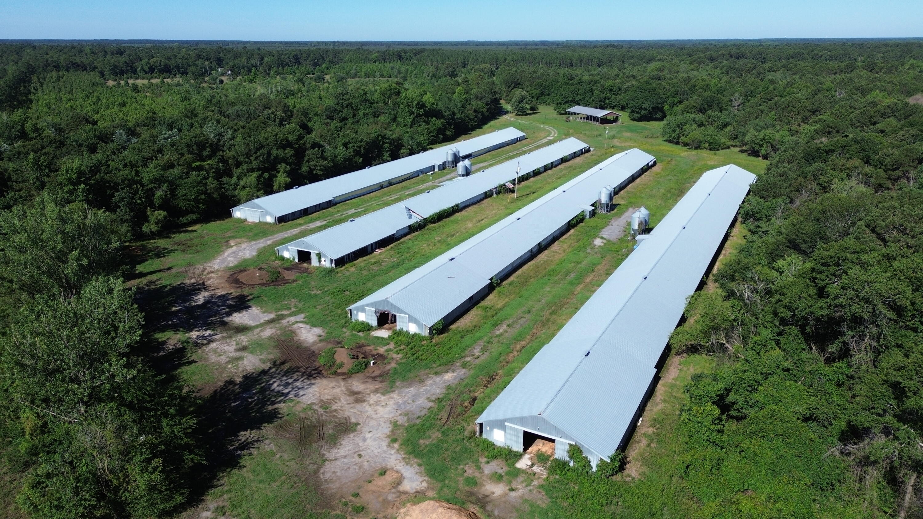 0 Holladay Road Manning, SC 29102 - Photo 17 of 35