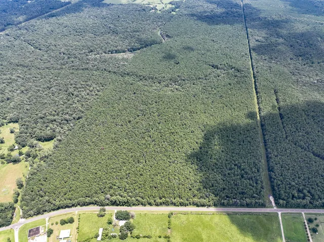 a view of outdoor space yard and green space