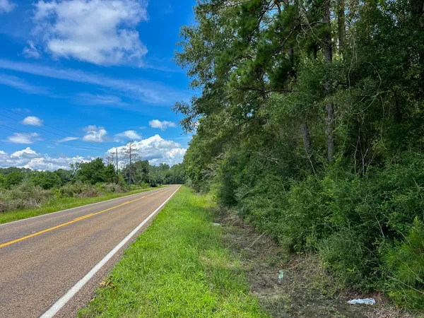 a view of a garden with a tree