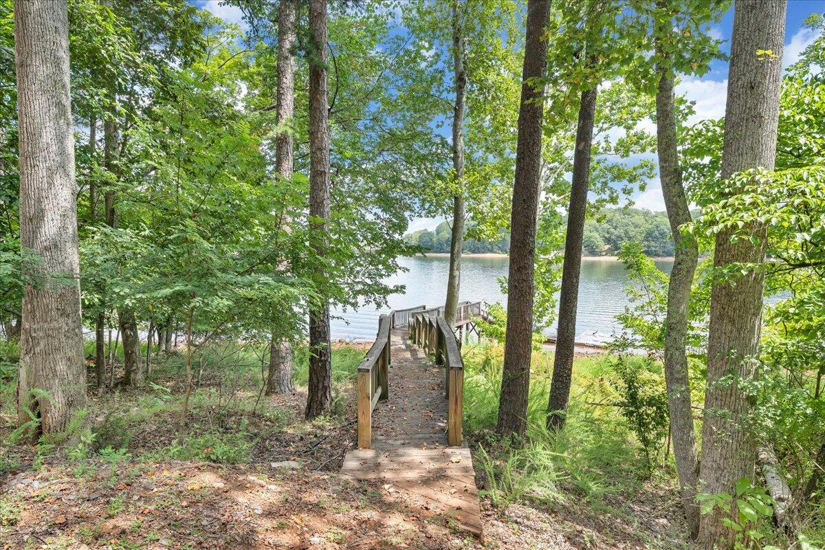 932 Clear Pointe Run Lynch Station, VA 24571 - Photo 102 of 154 a view of a yard with plants and large trees
