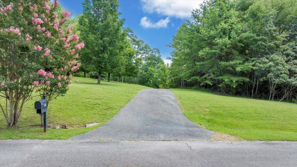 932 Clear Pointe Run Lynch Station, VA 24571 - Photo 114 of 154 Driveway