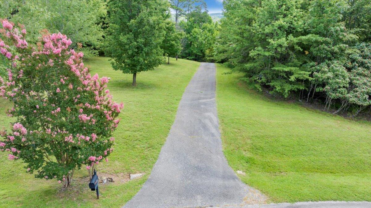 932 Clear Pointe Run Lynch Station, VA 24571 - Photo 115 of 154 a view of a garden with flowers and trees